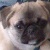 :iconwantsnewpaint: