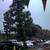 :iconwarbird047: