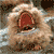 :iconWarchant: