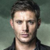 :iconwarderdragon: