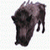 :iconwardogz: