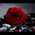 :iconwardwayasmeen:
