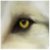 :iconWareHedgie: