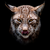 :iconwarenhari: