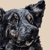 :iconwarhead82: