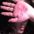 :iconwarina: