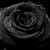 :iconwarlock1971: