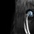:iconwarlordi2: