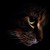 :iconwarm-breeze: