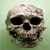 :iconwarmaster213: