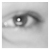 :iconwarmcloud: