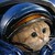 :iconwarmonkey782: