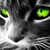 :iconwarpath1447: