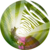:iconwarpingd:
