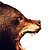 :iconWarrior732MN: