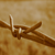 :iconwarriorace: