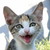 :iconwarriorbern: