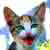 :iconwarriorbern: