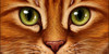:iconwarriorcat-lovers: