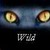 :iconwarriorcatguardian: