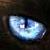 :iconWarriorcats-Club: