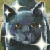 :iconwarriorcats-fan-club: