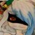 :iconwarriorcats989: