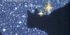 :iconwarriorcatsdestiny: