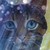 :iconwarriorcatsdraww: