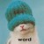 :iconwarriorcatsluver12: