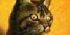 group avatar