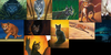 :iconwarriorcatsscenes: