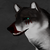 :iconwarrioreyes: