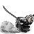 :iconwarriorknight777: