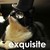 :iconwarriorlitten: