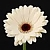 :iconwarriorofgod7:
