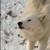 :iconwarriorreader13: