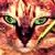:iconwarriors-fanclub-art: