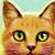 :iconwarriors-of-starclan: