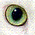 :iconwarriors-rainclan: