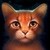 :iconwarriorscats1: