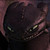 :iconwarriorsxdragons: