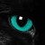 :iconwarriorz45: