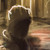 :iconwarterton:
