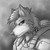 :iconwarwolf47: