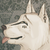 :iconwasaabi666: