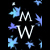 :iconwaseemartist: