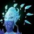 :iconwasserplane: