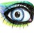 :iconwasservogel: