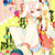 Watanabemido :iconwatanabemido: